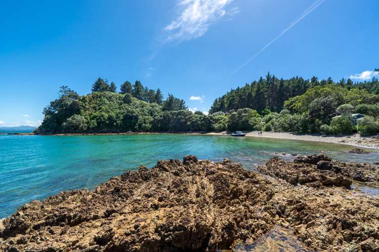 Motuketekete Island Kawau Bay_7