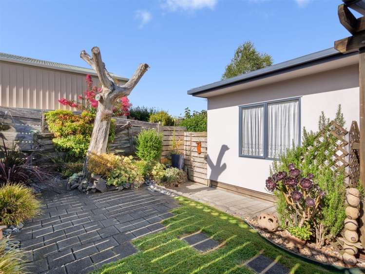 19b Carisbrooke Street Katikati_6