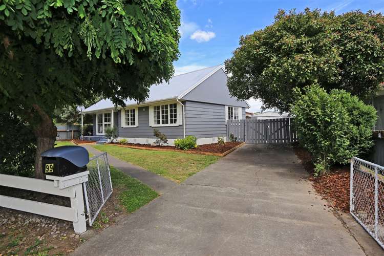 99 Dundee Drive Flaxmere_13