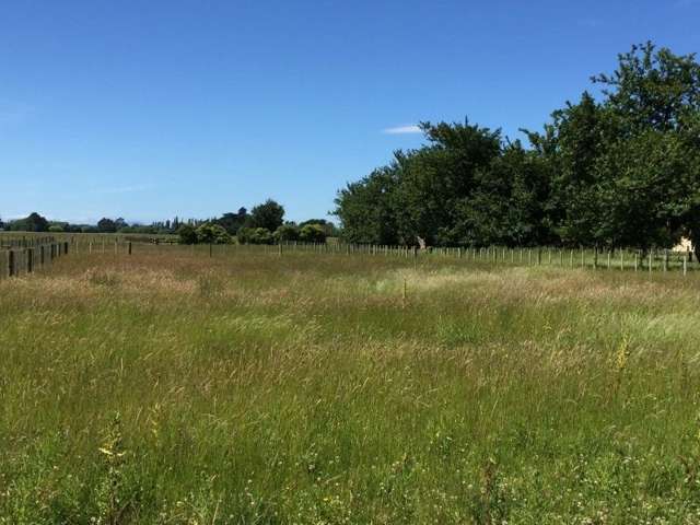 43b Jellicoe Street Greytown_1