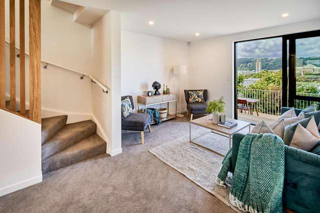 27E Thompson Street Mt Cook_1