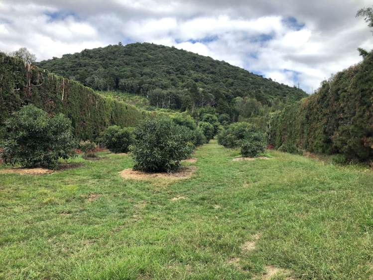 1423 State Highway 14 Maungatapere_7