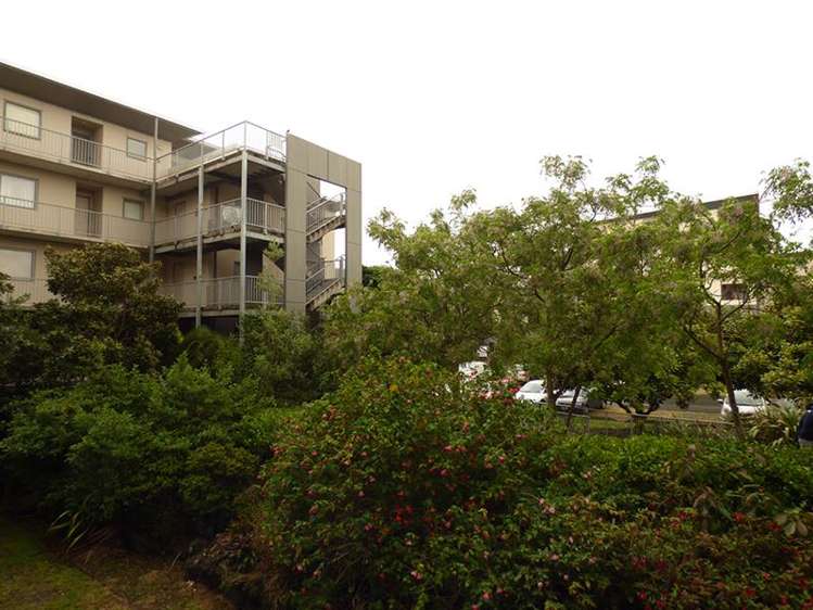 Gg/28 Morning Star Place Mount Albert_9