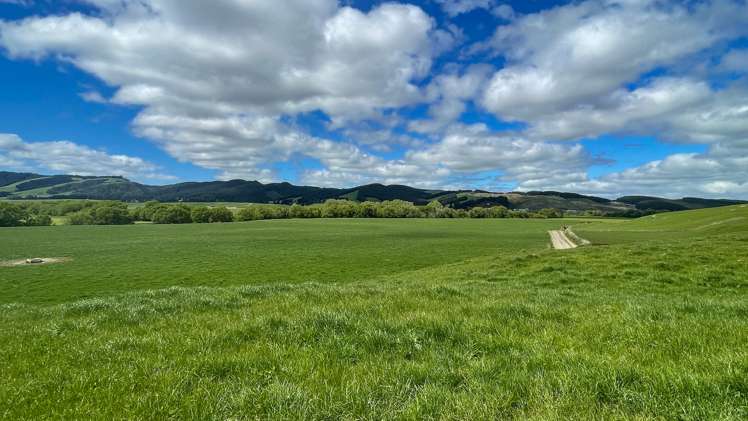 650 Koi Flat Road Gore Surrounds_17