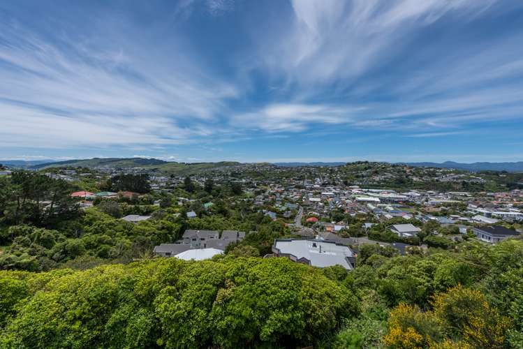 21 Rossport Street Johnsonville_6