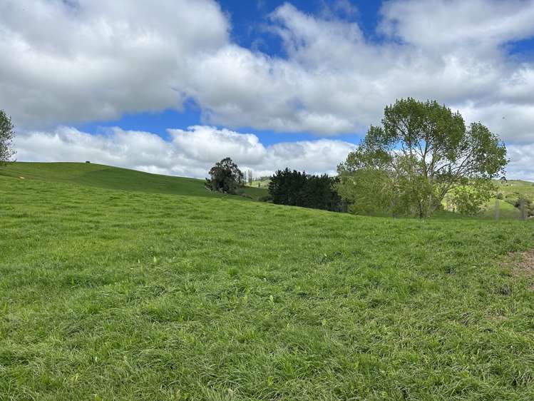 356 Lurman Road Otorohanga_11