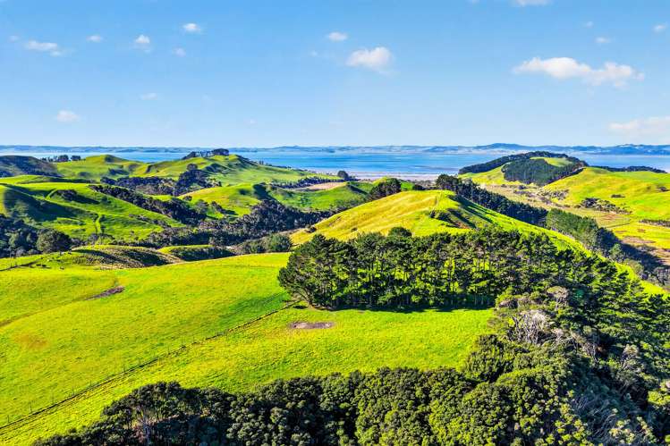 Lot 2/DP 320978 South Head Road Helensville_9