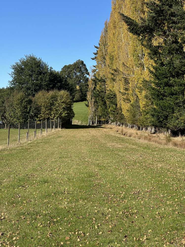 83 Waitahuna Cemetery Road Waitahuna_18