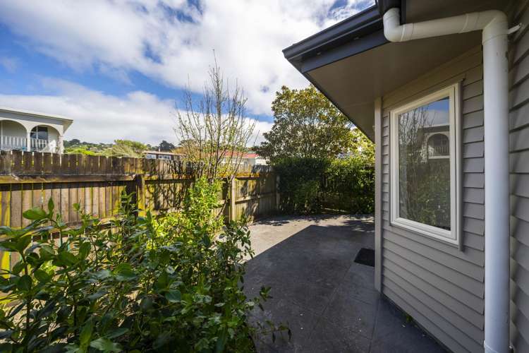 10 Trafalgar Street Johnsonville_12