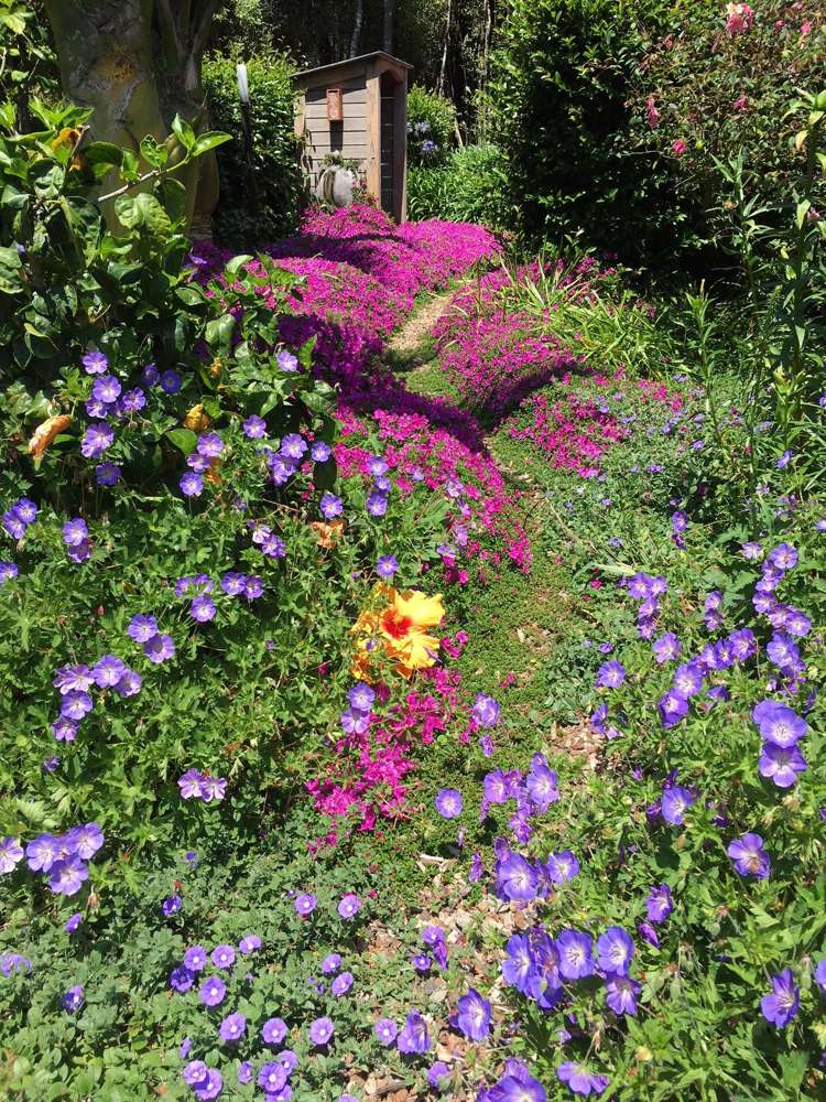 100 Margaret Reeve Lane Waiheke Island_37