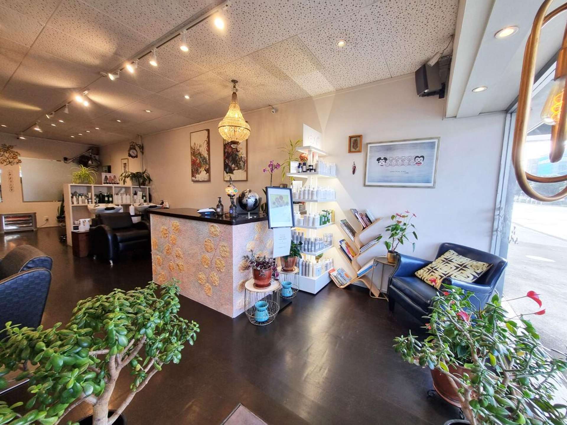 59 Cambridge Terrace Wellington Central_0