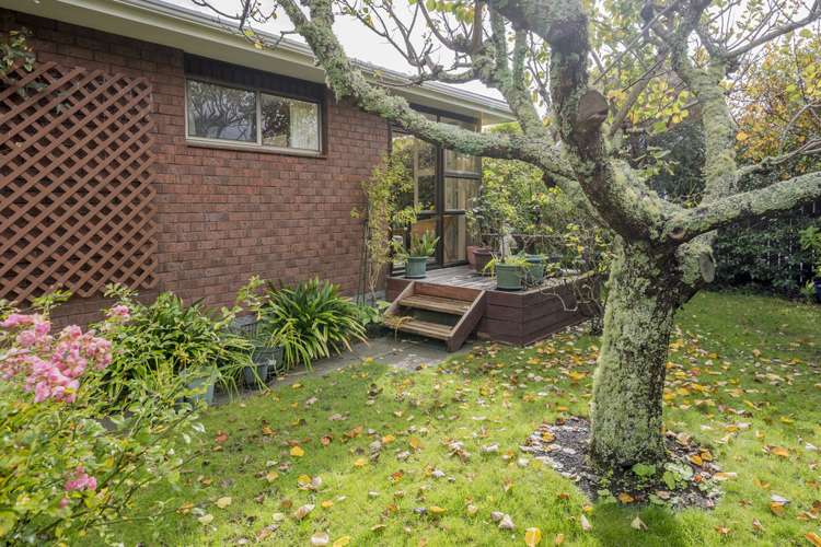 17 Awanui Drive Waikanae_18