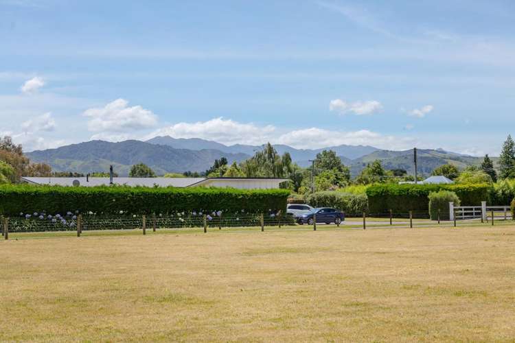 229A Belvedere Road_5