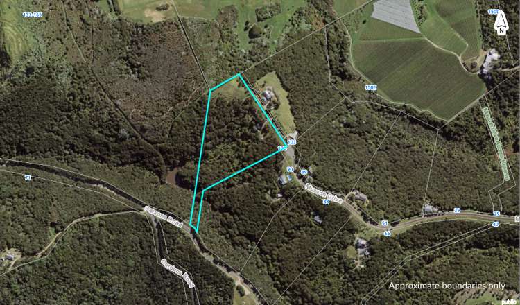 100 Musson Drive Waiheke Island_19