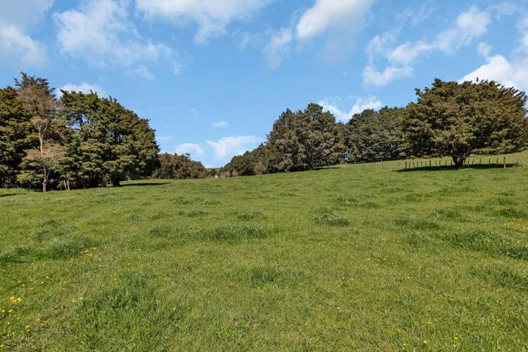 Knight Road Ruatangata_9