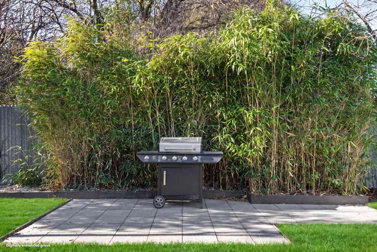 65A Jollie Street Linwood_16
