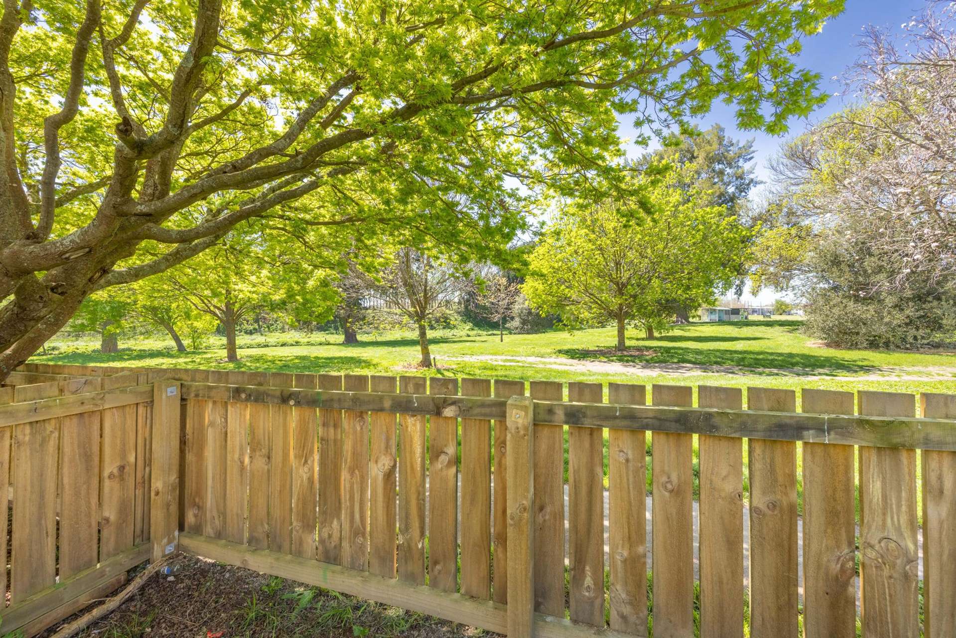 8 Panckhurst Street Havelock North_0