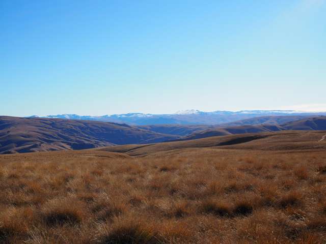 Central Otago High Country Run