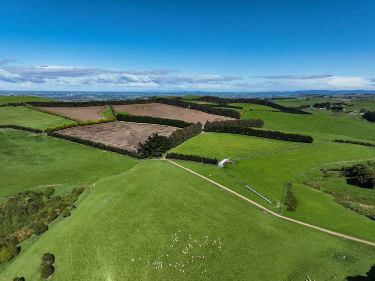 30 Frazer Road Gore Surrounds_12