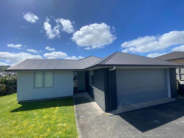 48 Helenslee Road Pokeno_1