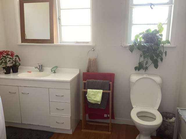 1867 Alexandra Street Te Awamutu_3