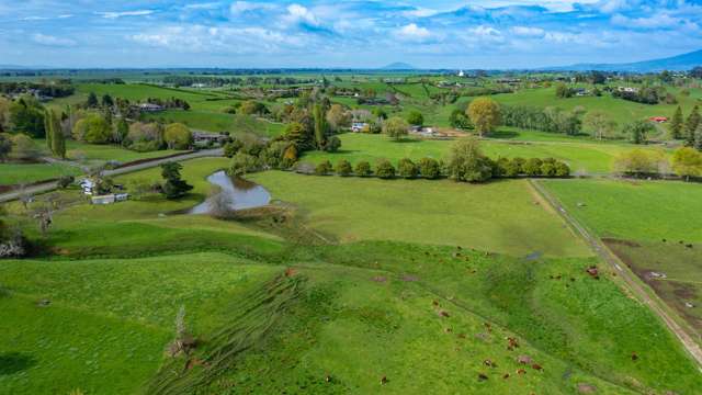 Central Waikato cattle grazing block