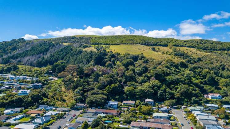 101 Cambria Street The Wood_5