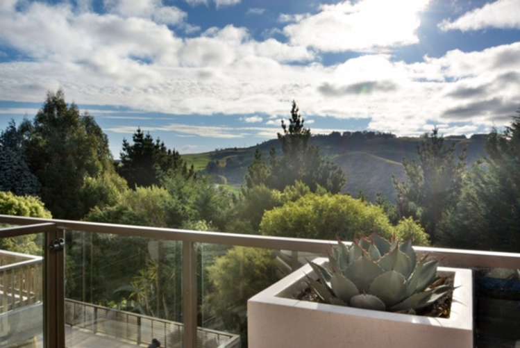 90 Mornington Road Kenmure_8