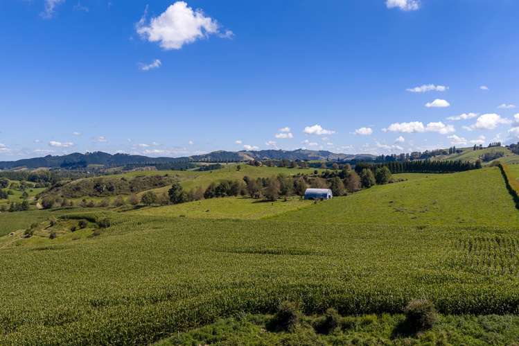 Lot 2/4/366 Karapiro Road Karapiro_15