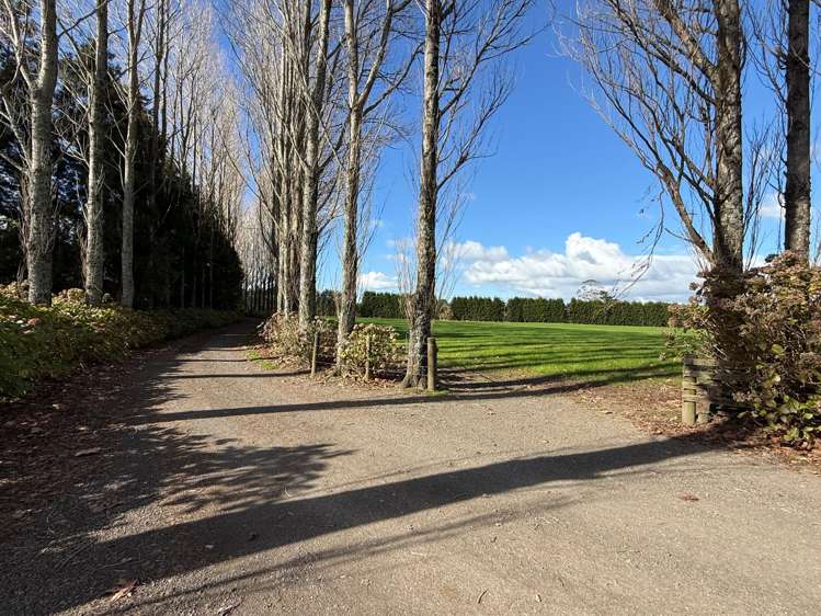 58 Rawaka Drive Katikati_12