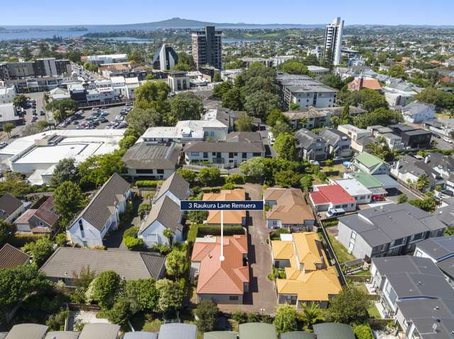 3 Raukura Lane Remuera_3