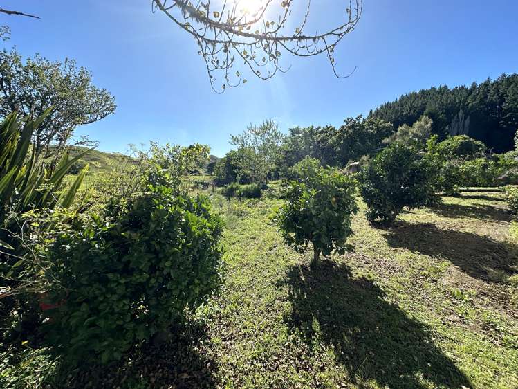 16 Williams Avenue Ohura_13