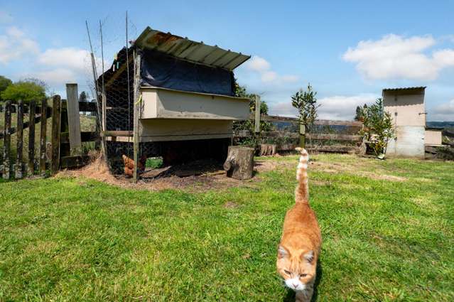 357a Clayton Road Pukehangi_3