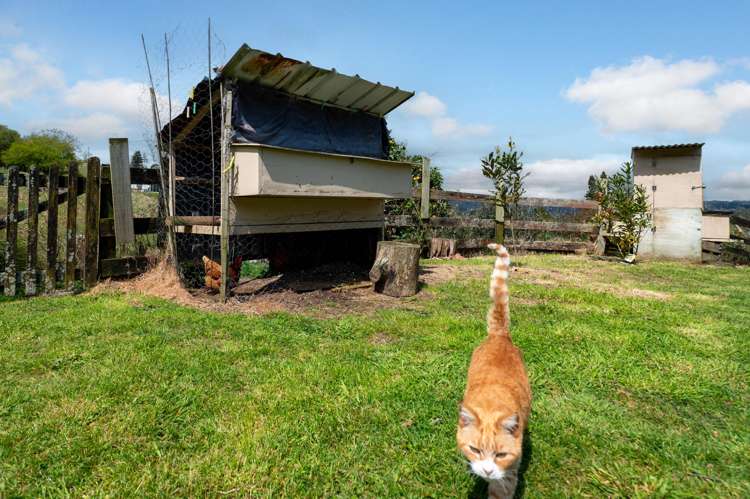 357a Clayton Road Pukehangi_3