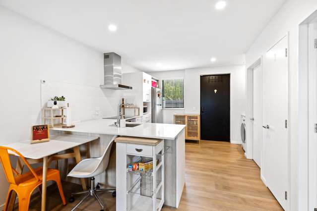 45d Hillier Place Spreydon_3