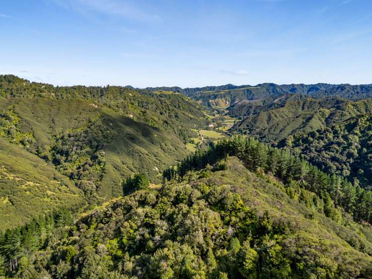 1870 Okau Road Urenui_22