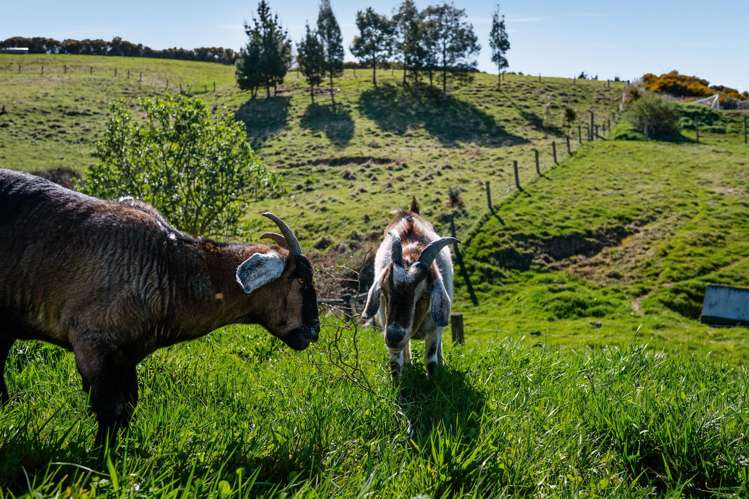 14 Goddard Way Sawyers Bay_12