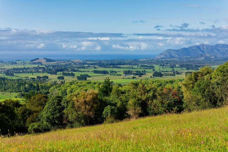 759 Mount Fyffe Road_5