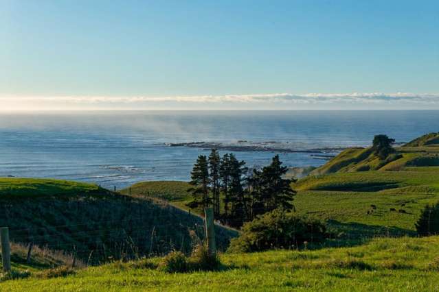 42 Ward Street Kaikoura_3