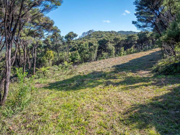 458F Hihi Road Hihi_21