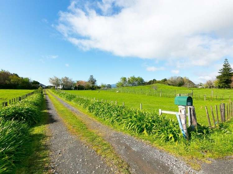 799 Mangorei Road Mangorei_34