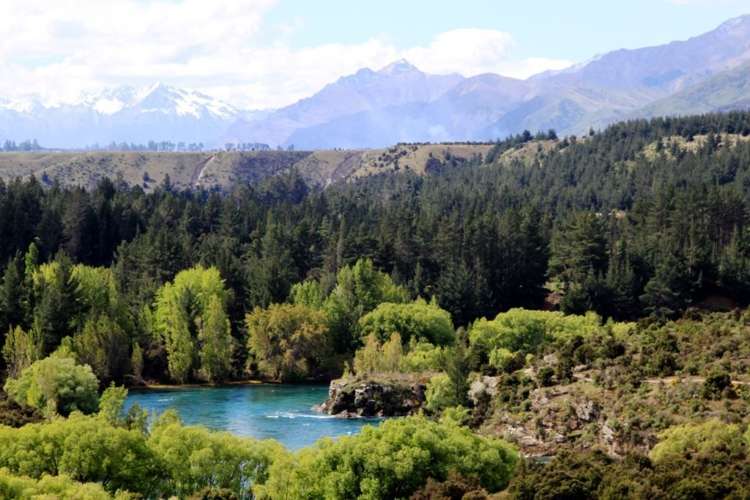 32 Pisa Road Luggate_23