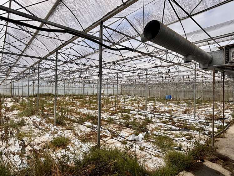 21 Puke Road Huapai_7