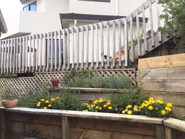 50b Maupuia Road Miramar_16