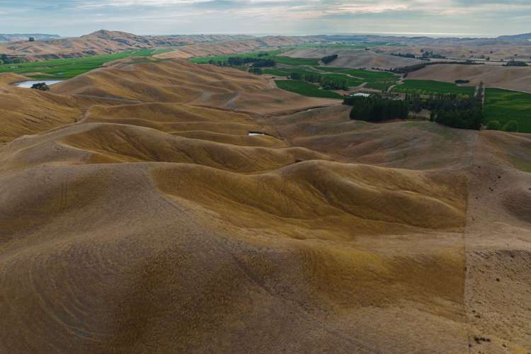 109 Haldons Road Seddon_23