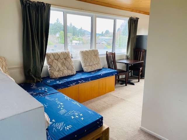 5B Galbraith Street 1147_4