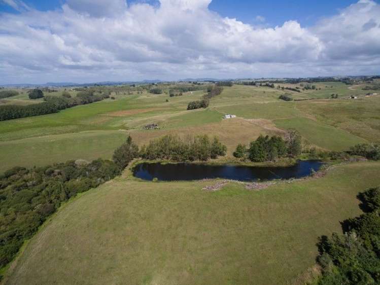 137 Sanson Road Ruawaro_15