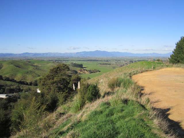 321a Quine Road Tahuna_2