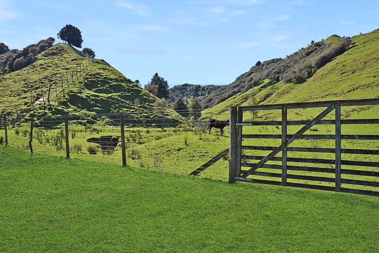 993 Upper Retaruke Road Ruapehu-King Country Surrounds_19