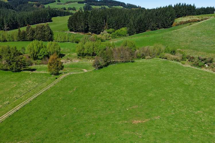 571 Three Mile Hill Road North Taieri_30
